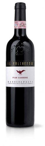 Il Falchetto - Pian Scorrone - 2024