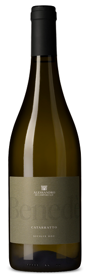 Alessandro di Camporeale - Benedè - 2025