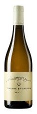 Textura Wines - Textura de estrela branco 2023