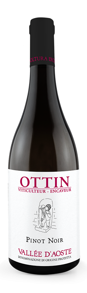 Ottin vini - Pinot noir 2024
