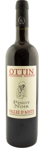 Ottin vini - Pinot noir 2024 MAGNUM