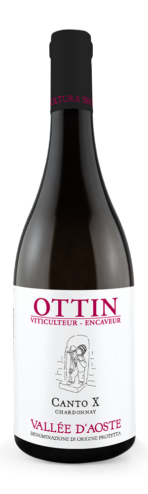 Ottin vini - Chardonnay Canto X 2024