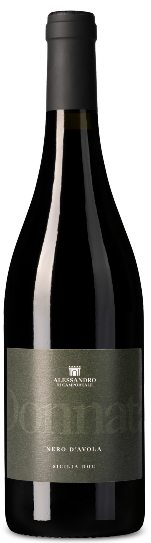 Alessandro di Camporeale - Donna tà - 2023