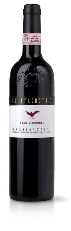 Il Falchetto - Pian Scorrone - 2025
